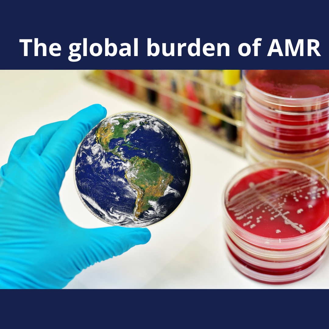  The global burden of AMR 2